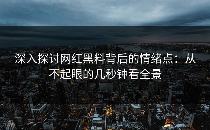 深入探讨网红黑料背后的情绪点：从不起眼的几秒钟看全景  第1张