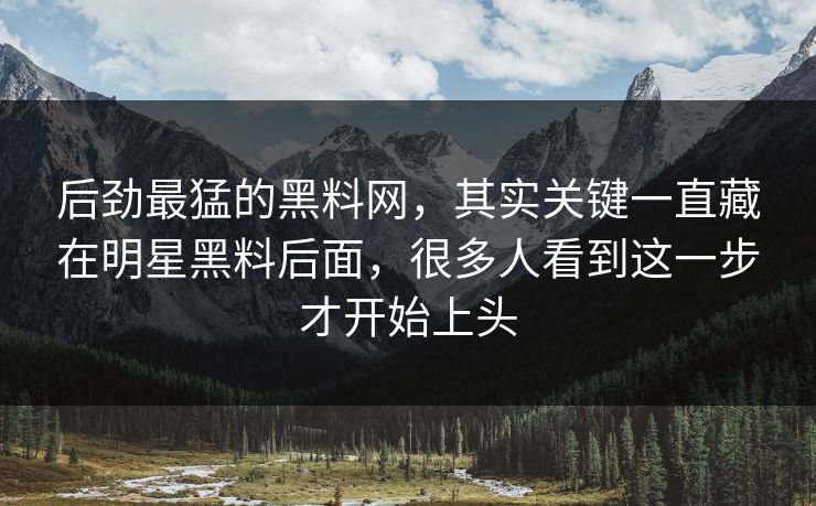 后劲最猛的黑料网，其实关键一直藏在明星黑料后面，很多人看到这一步才开始上头  第1张