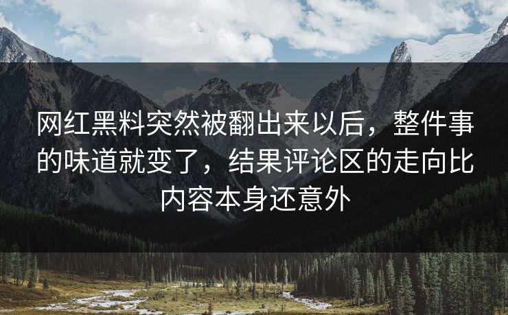 网红黑料突然被翻出来以后，整件事的味道就变了，结果评论区的走向比内容本身还意外