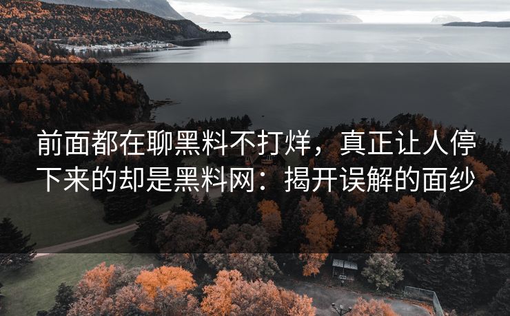 前面都在聊黑料不打烊，真正让人停下来的却是黑料网：揭开误解的面纱