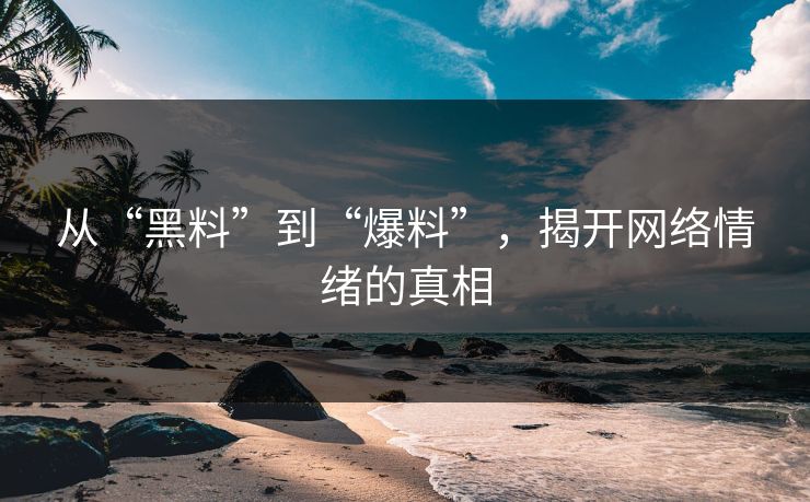 从“黑料”到“爆料”，揭开网络情绪的真相