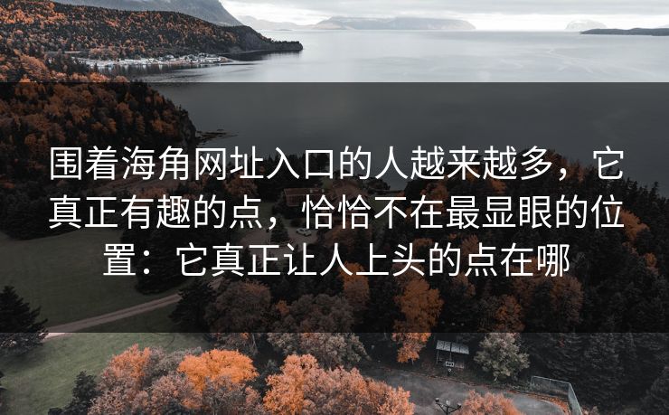 围着海角网址入口的人越来越多，它真正有趣的点，恰恰不在最显眼的位置：它真正让人上头的点在哪